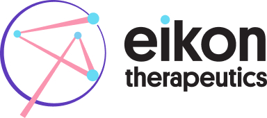 logo-eikon logo-eikon